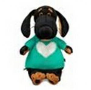 Собака Ваксон в свитере с сердцем