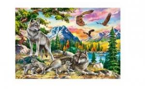 Картина по номерам 30х40 Волки и орлы